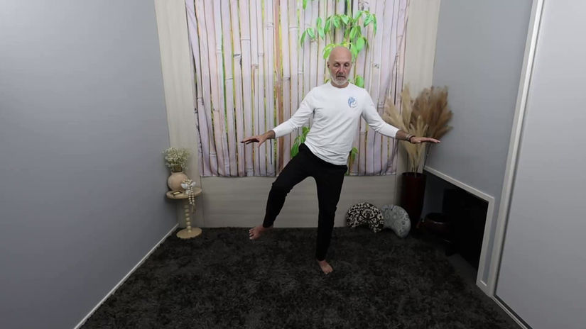 Qi Balance and Resilience Part 2